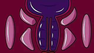 Eyaculacion interna &num;9 &lpar; animacion&rpar;